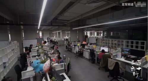 軟件服務(wù)之外的人生 流水線、群演與客服中的情感溫度