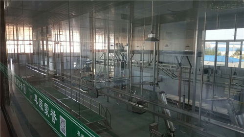 年屠宰10萬(wàn)只不費(fèi)勁！這家肉羊屠宰設(shè)備廠家直供方案，成本直降30%