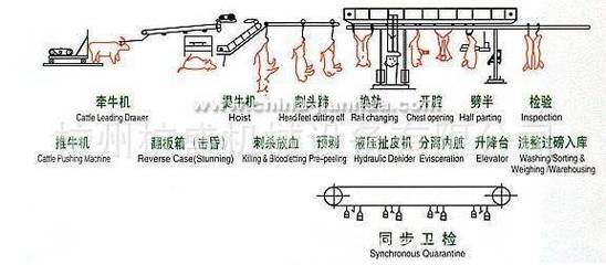 模塊化移動(dòng)屠宰車 引領(lǐng)屠宰設(shè)備新變革
